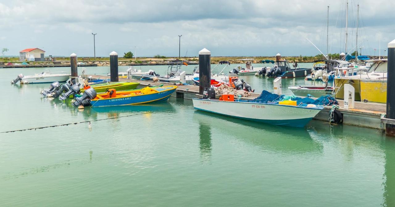 Evasion En Plein Coeur De La Ville T2 Jacuzzis Sauna Et Piscine Au Centre De Port-Louis Exteriör bild